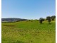 Lot 4 Roseberry Creek Road, Roseberry Creek NSW 2474