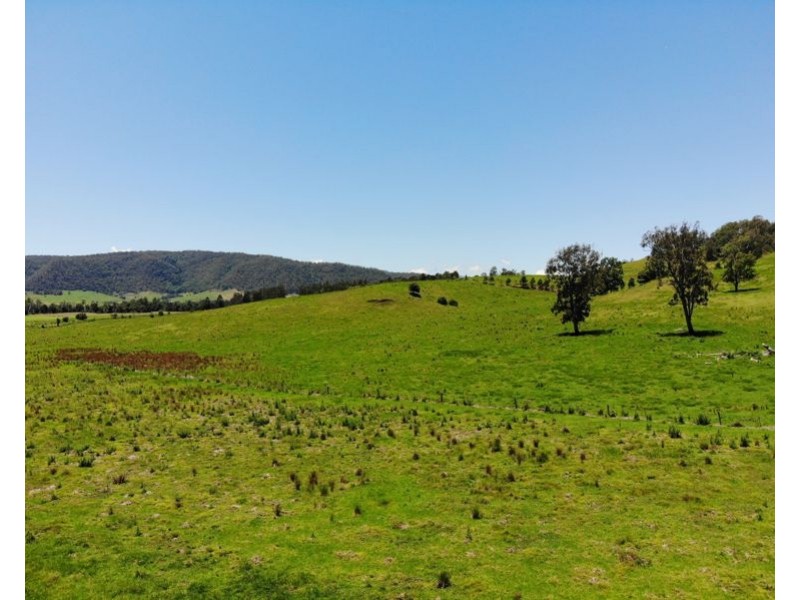 Lot 4 Roseberry Creek Road, Roseberry Creek NSW 2474
