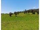 Lot 4 Roseberry Creek Road, Roseberry Creek NSW 2474