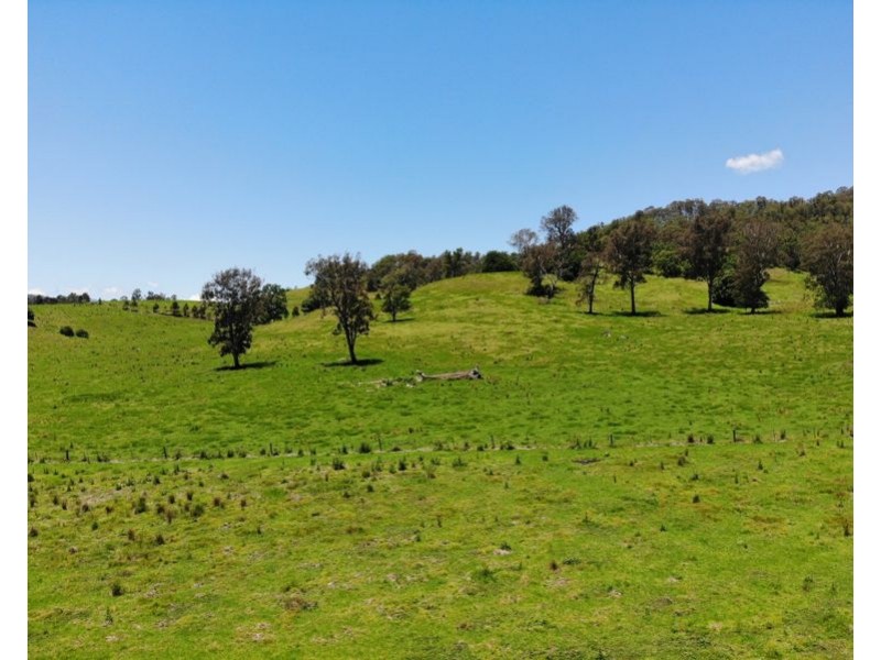 Lot 4 Roseberry Creek Road, Roseberry Creek NSW 2474