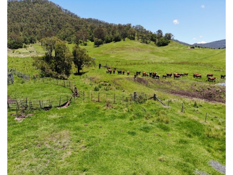 Lot 4 Roseberry Creek Road, Roseberry Creek NSW 2474