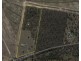 234-254 Plunkett Road, Tamborine QLD 4270