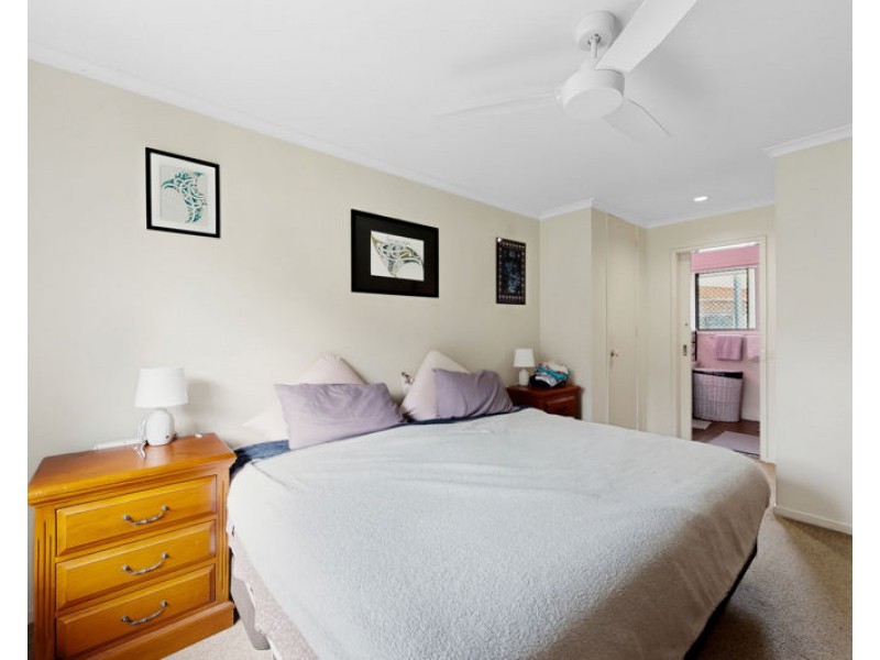 3 Collene Grove, Springwood QLD 4127