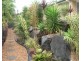 35 Paterson Place, Narangba QLD 4504