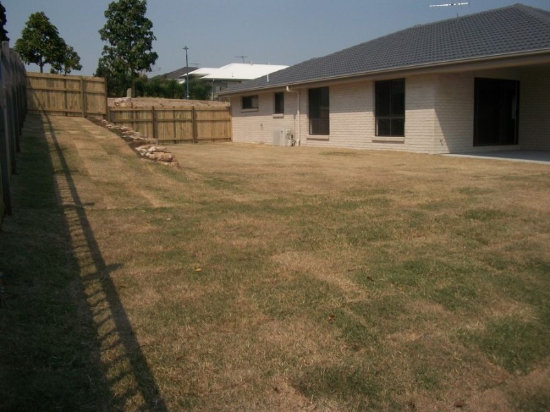 41 Cobbin Circuit, Redbank Plains QLD 4301