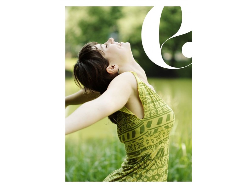 Lot 4 Academy Street, Elysian Estate, Browns Plains QLD 4118