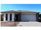 8 Torbay Rd, Griffin QLD 4503