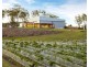 Lot 2 113 Owens Scrub Rd, Leyburn QLD 4365