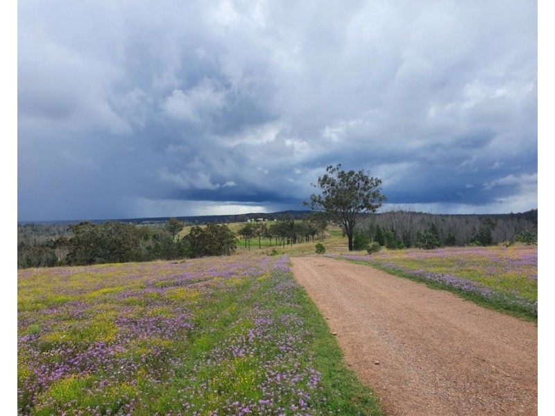 Lot 2 113 Owens Scrub Rd, Leyburn QLD 4365