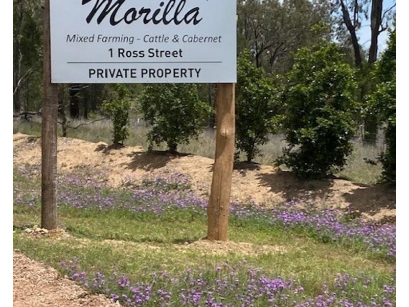 Lot 2 113 Owens Scrub Rd, Leyburn QLD 4365