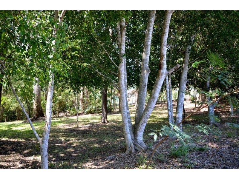 37 Savalas Street, Mcdowall QLD 4053