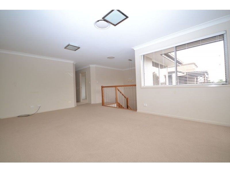 3 Petrie Crescent, Aspley QLD 4034