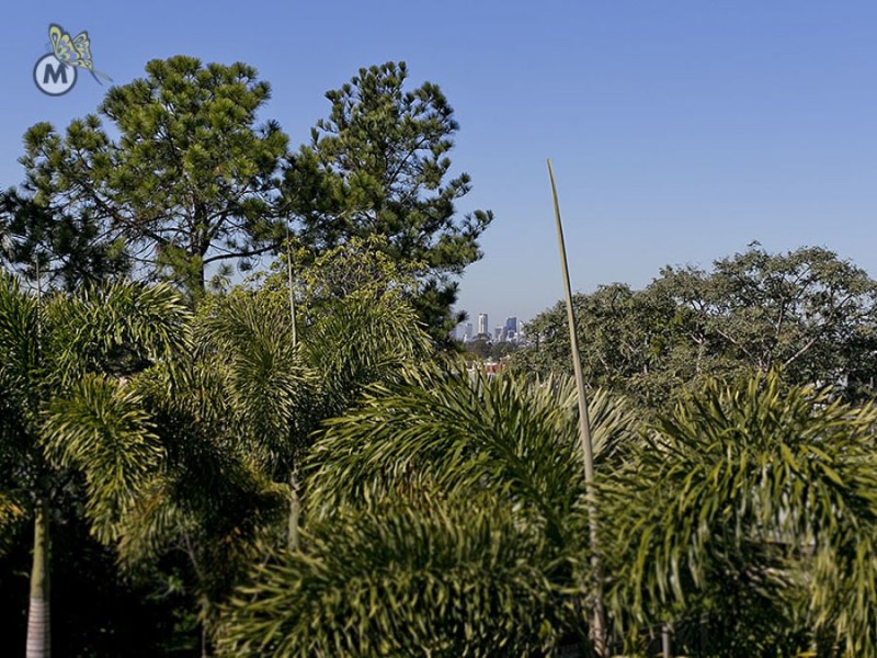 20 Drake Street, Everton Park QLD 4053