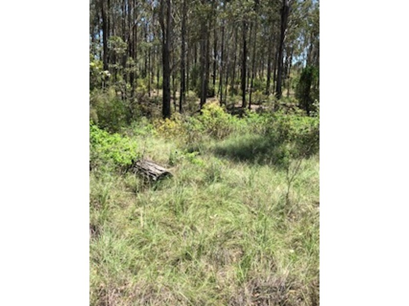 129 Franks Road, Taromeo QLD 4306