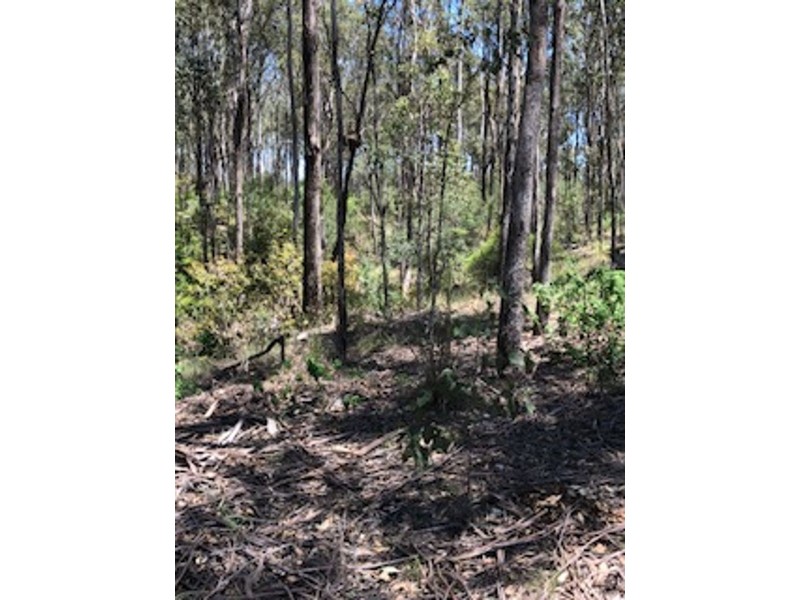 129 Franks Road, Taromeo QLD 4306
