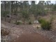 129 Franks Road, Taromeo QLD 4306