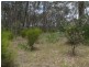 129 Franks Road, Taromeo QLD 4306