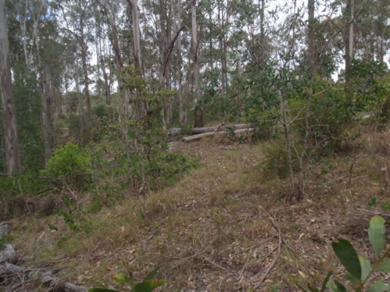 129 Franks Road, Taromeo QLD 4306