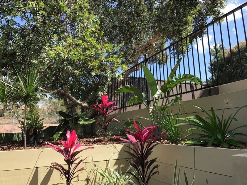 87 Old Northern Road, Everton Park QLD 4053