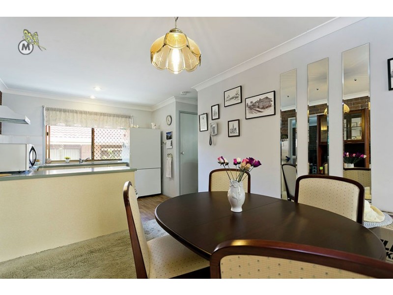 34 Tetragona Drive, Arana Hills QLD 4054