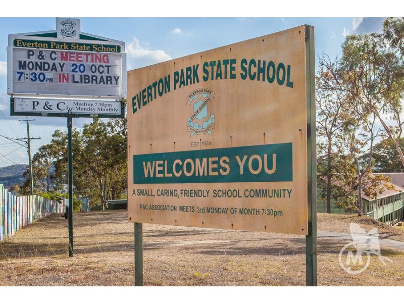 48 Warringah Street, Everton Park QLD 4053