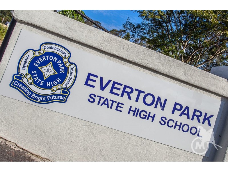 48 Warringah Street, Everton Park QLD 4053