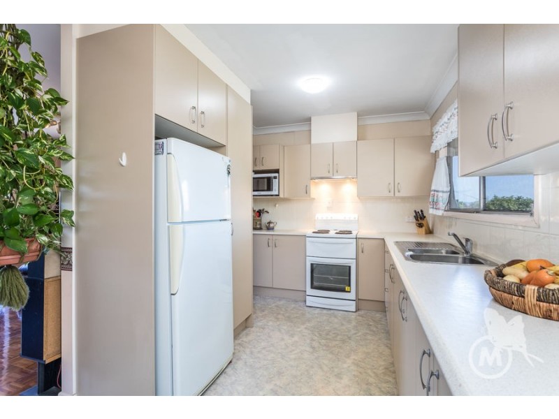 19 Sloane Street, Stafford Heights QLD 4053