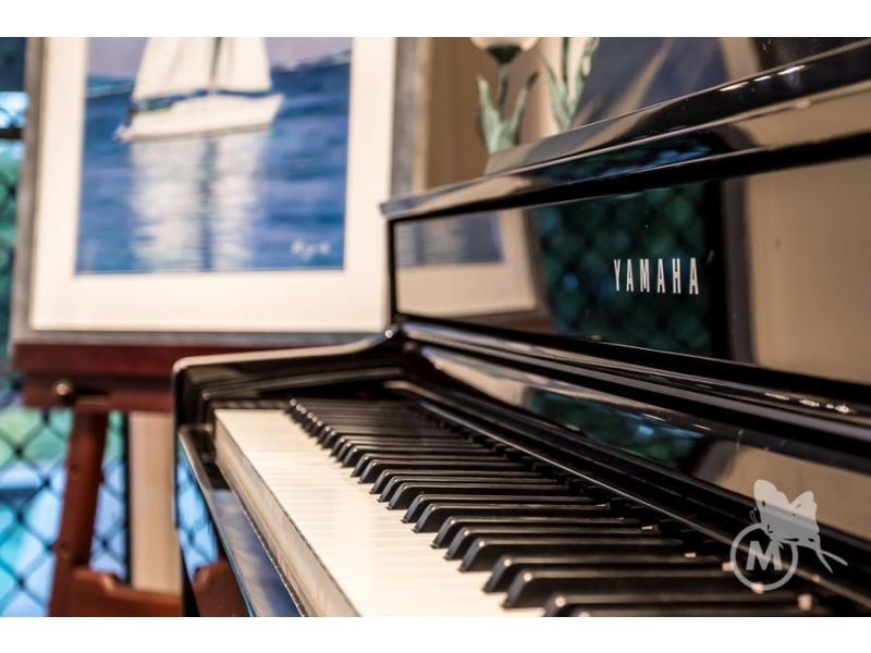 15 Fernwren Court, Cashmere QLD 4500