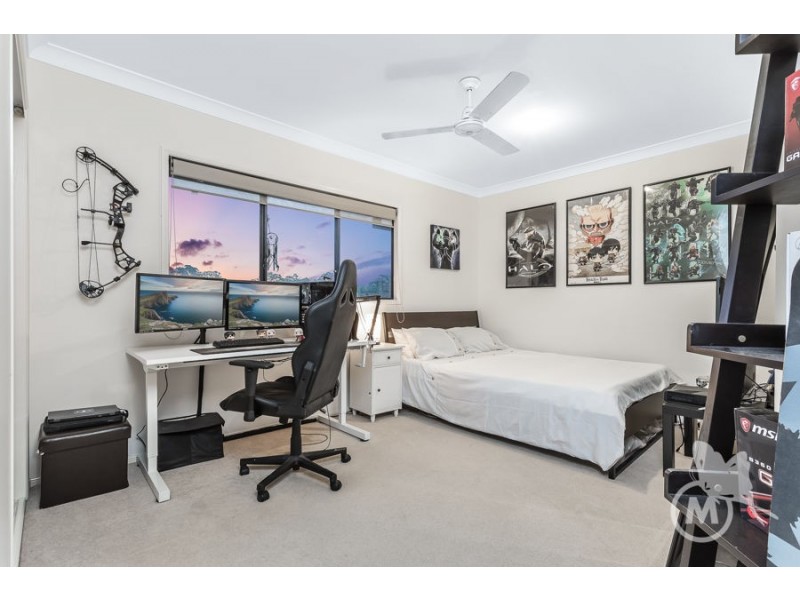 15 Fernwren Court, Cashmere QLD 4500