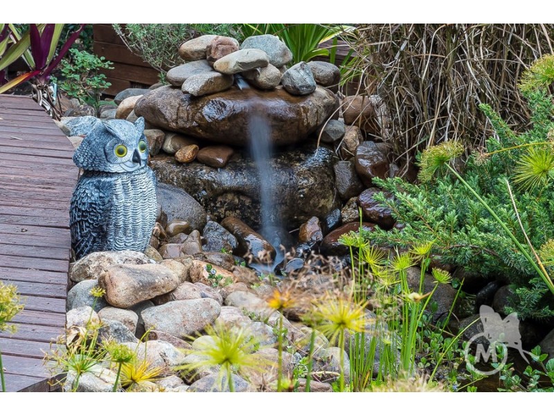 15 Fernwren Court, Cashmere QLD 4500