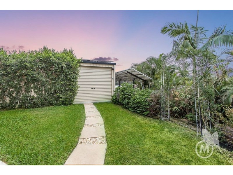 15 Fernwren Court, Cashmere QLD 4500