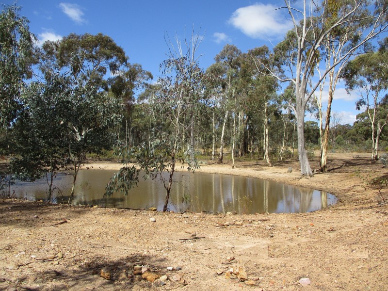 Lot 17 Bradford Road, Lockwood South VIC 3551