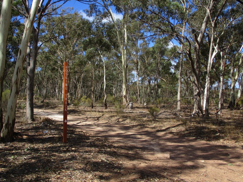 Lot 17 Bradford Road, Lockwood South VIC 3551