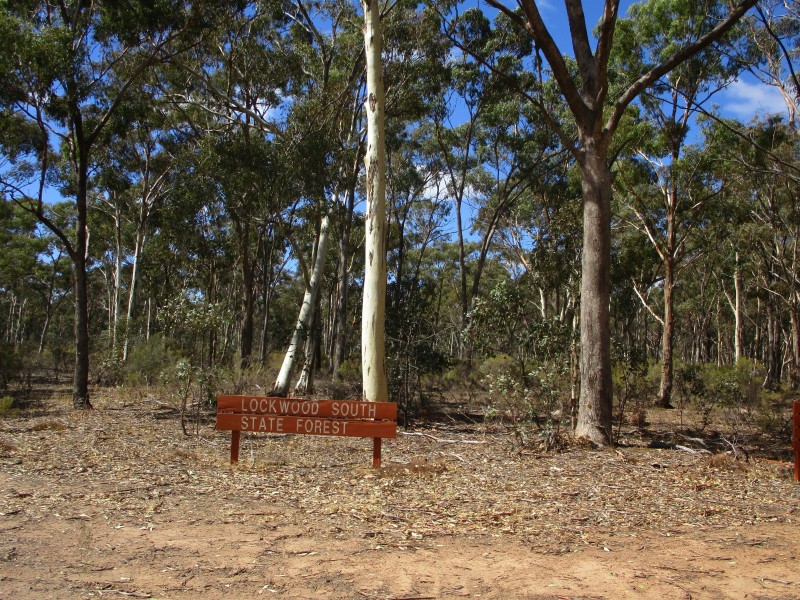 Lot 17 Bradford Road, Lockwood South VIC 3551