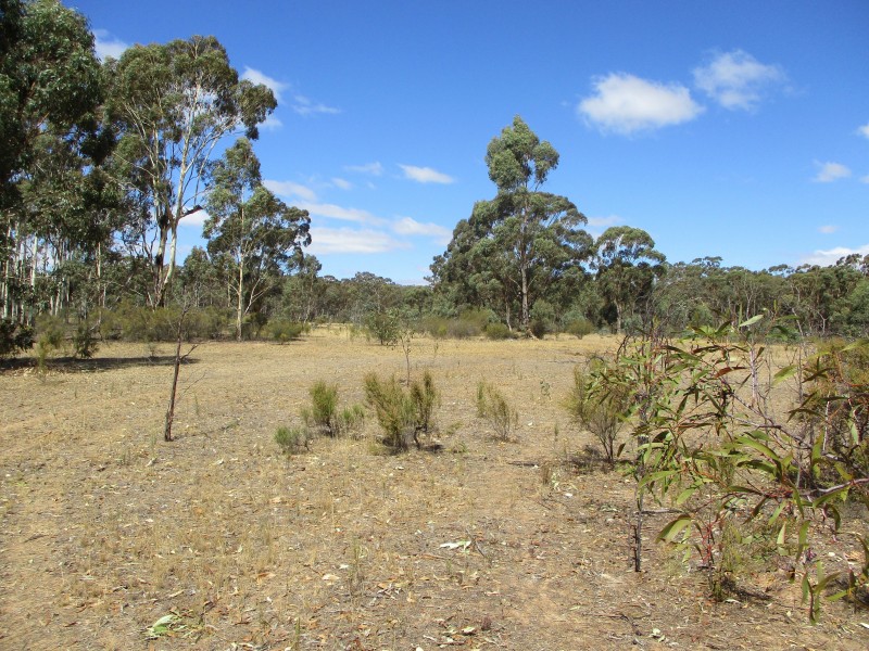 Lot 17 Bradford Road, Lockwood South VIC 3551