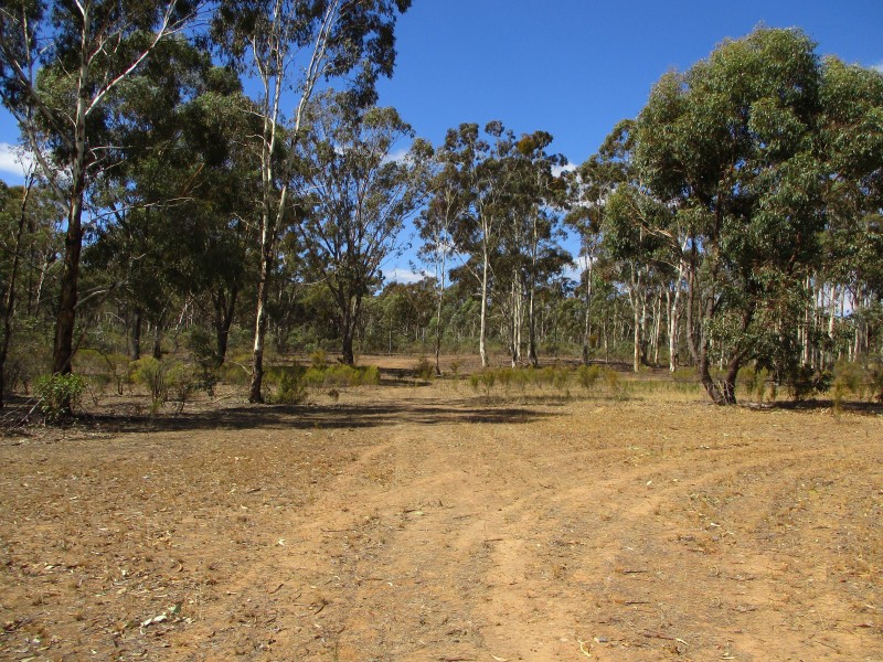 Lot 17 Bradford Road, Lockwood South VIC 3551