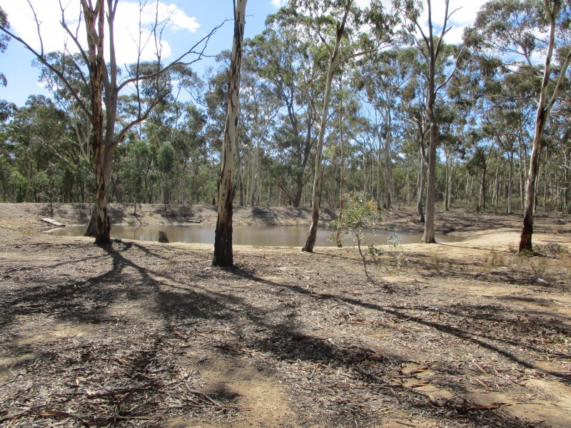 Lot 17 Bradford Road, Lockwood South VIC 3551