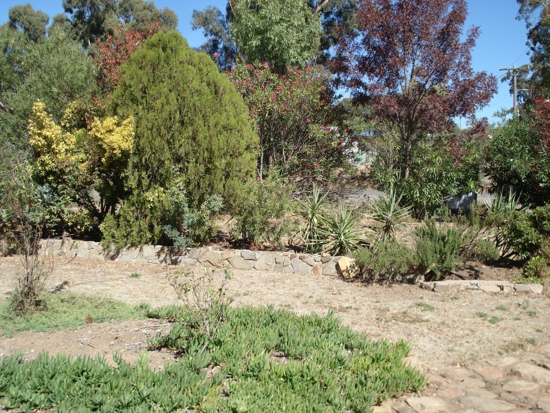 83 Wilson Street, Wedderburn VIC 3518