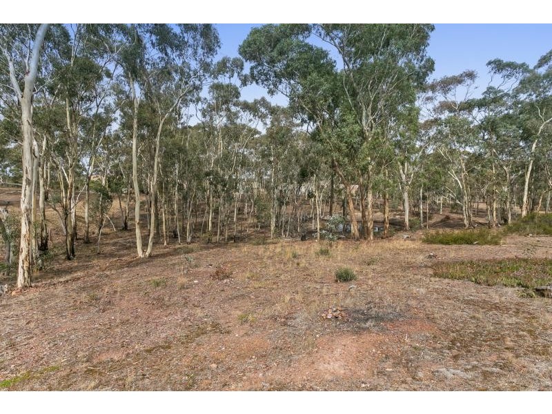 48 Ranters Gully Road, Muckleford VIC 3451
