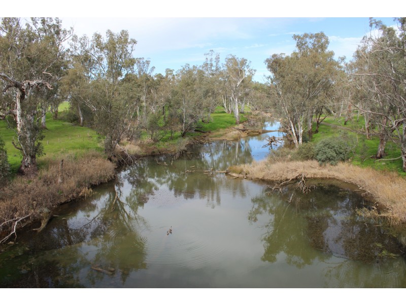 8 Giffard Street, Newbridge VIC 3551