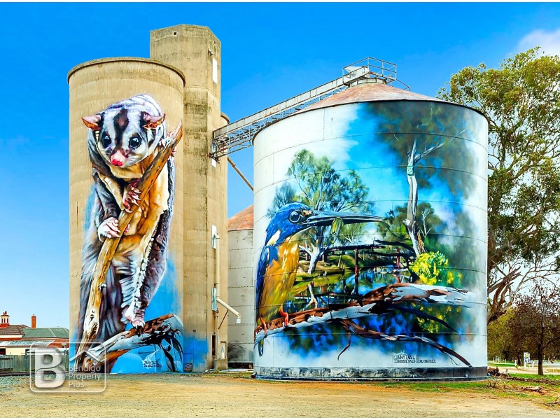 34 Hopetoun Street, Rochester VIC 3561