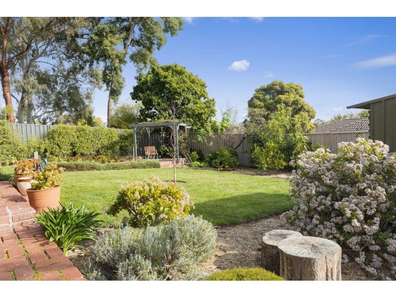51 Harley Street, Strathdale VIC 3550