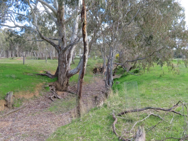 29 Burnt Creek Lane, Dunolly VIC 3472