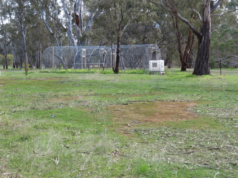 29 Burnt Creek Lane, Dunolly VIC 3472