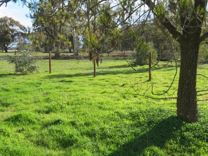 35 Gees Road, Woodvale VIC 3556