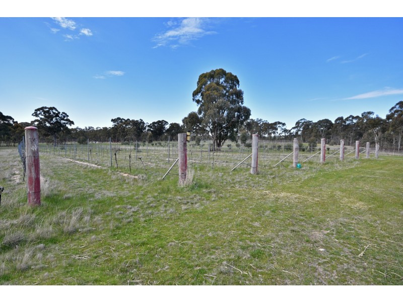 131 Rocky Ridge Road, St Arnaud VIC 3478