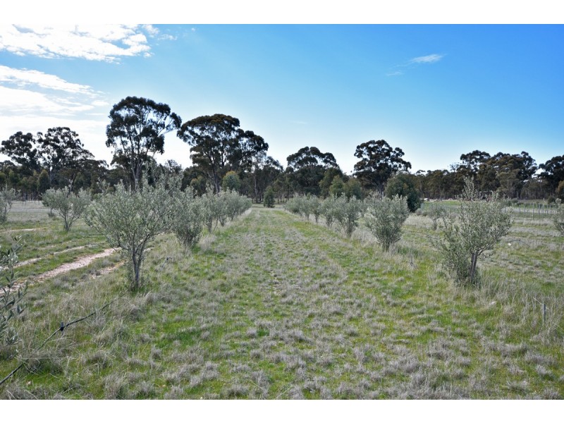 131 Rocky Ridge Road, St Arnaud VIC 3478