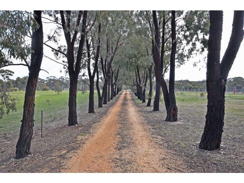 131 Rocky Ridge Road, St Arnaud VIC 3478