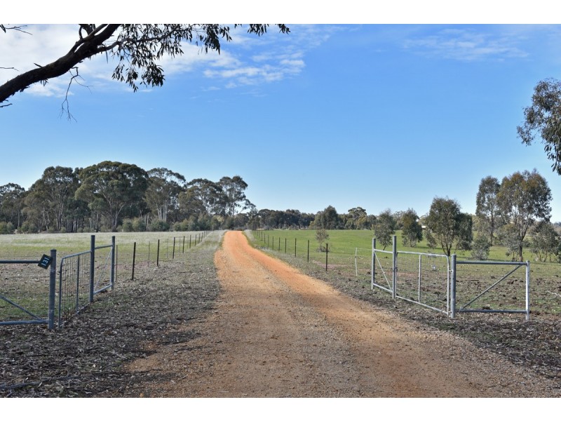 131 Rocky Ridge Road, St Arnaud VIC 3478