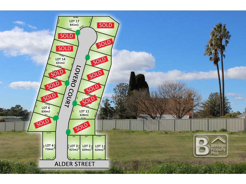 14 Lovero Court, Kangaroo Flat VIC 3555